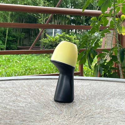 Special Shape Refillable Roll-On Perfume Bottles Plastic Roll-On Bottles For Aromatherapy Blends